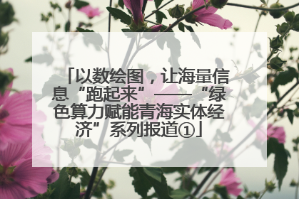 以数绘图，让海量信息“跑起来”——“绿色算力赋能青海实体经济”系列报道①