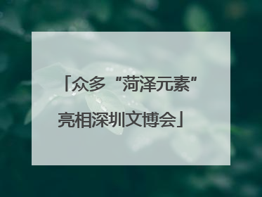 众多“菏泽元素”亮相深圳文博会