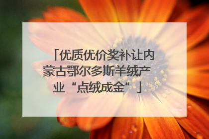 优质优价奖补让内蒙古鄂尔多斯羊绒产业“点绒成金”