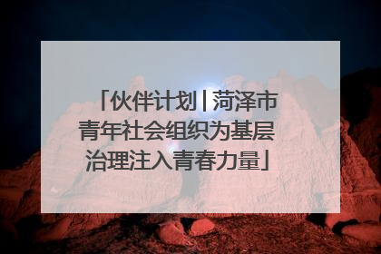 伙伴计划│菏泽市青年社会组织为基层治理注入青春力量