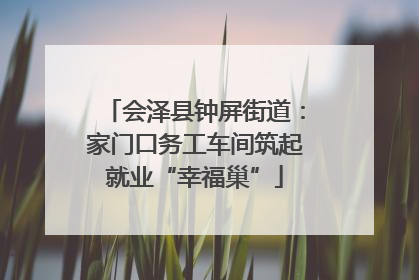 会泽县钟屏街道：家门口务工车间筑起就业“幸福巢”