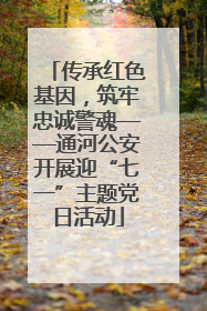 传承红色基因，筑牢忠诚警魂——通河公安开展迎“七一”主题党日活动