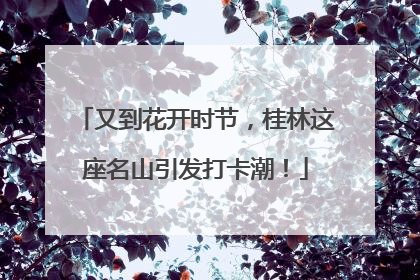 又到花开时节，桂林这座名山引发打卡潮！
