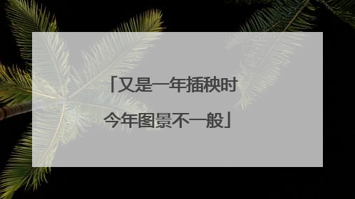 又是一年插秧时 今年图景不一般