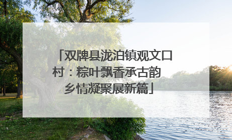 双牌县泷泊镇观文口村：粽叶飘香承古韵 乡情凝聚展新篇