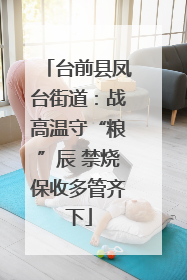 台前县凤台街道：战高温守“粮”辰 禁烧保收多管齐下