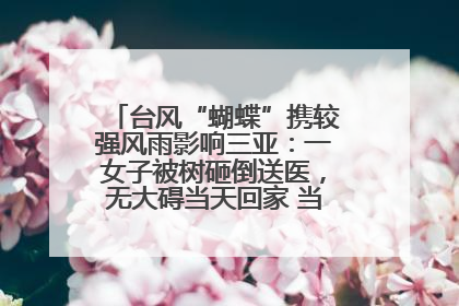 台风“蝴蝶”携较强风雨影响三亚：一女子被树砸倒送医，无大碍当天回家 当地已紧急清障