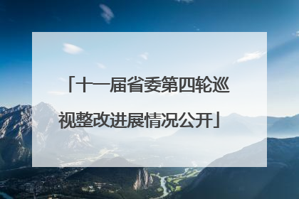 十一届省委第四轮巡视整改进展情况公开