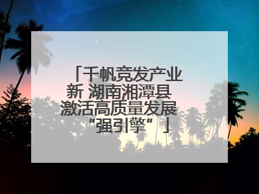 千帆竞发产业新 湖南湘潭县激活高质量发展“强引擎”