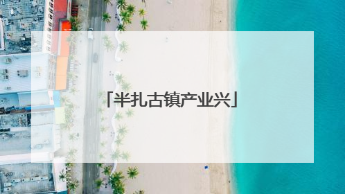 半扎古镇产业兴