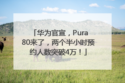 华为官宣，Pura 80来了，两个半小时预约人数突破4万！