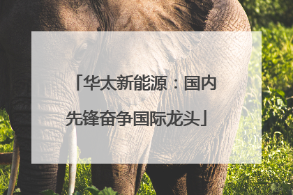 华太新能源：国内先锋奋争国际龙头