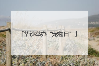 华沙举办“宠物日”