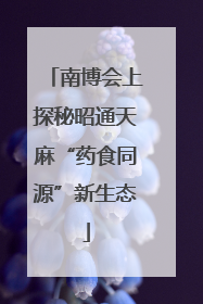 南博会上探秘昭通天麻“药食同源”新生态