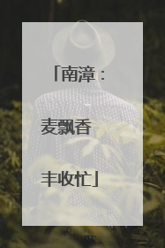南漳：麦飘香 丰收忙