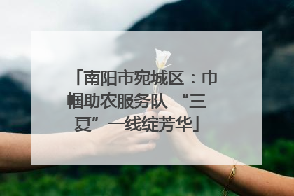 南阳市宛城区：巾帼助农服务队 “三夏”一线绽芳华