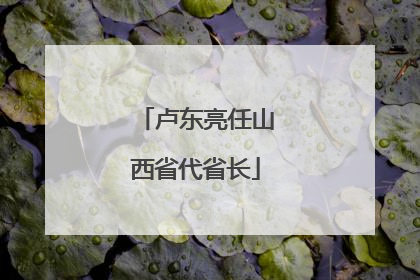 卢东亮任山西省代省长