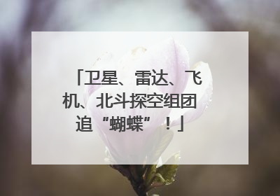 卫星、雷达、飞机、北斗探空组团追“蝴蝶”！