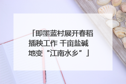 即墨蓝村展开春稻插秧工作 千亩盐碱地变“江南水乡”