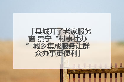 县城开了老家服务窗 景宁“村事社办”城乡集成服务让群众办事更便利