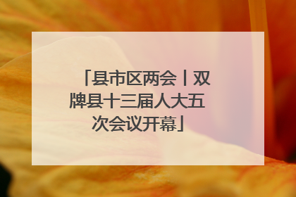 县市区两会丨双牌县十三届人大五次会议开幕
