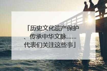 历史文化遗产保护、传承中华文脉……代表们关注这些事