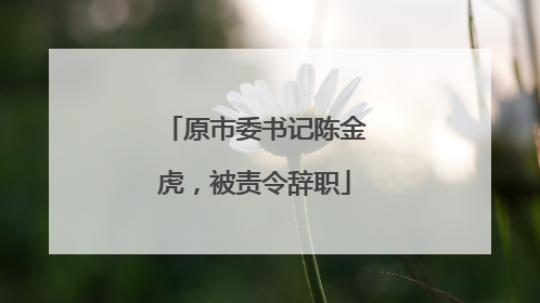 原市委书记陈金虎，被责令辞职