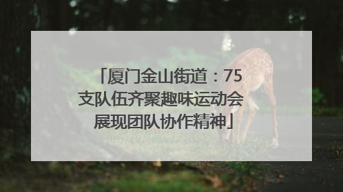 厦门金山街道：75支队伍齐聚趣味运动会 展现团队协作精神