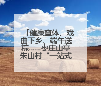 健康查体、戏曲下乡、端午送粽……枣庄山亭朱山村“一站式”惠民活动暖民心