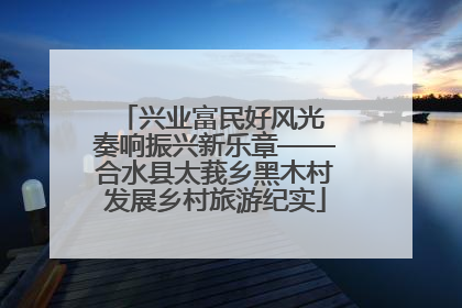 兴业富民好风光 奏响振兴新乐章——合水县太莪乡黑木村发展乡村旅游纪实