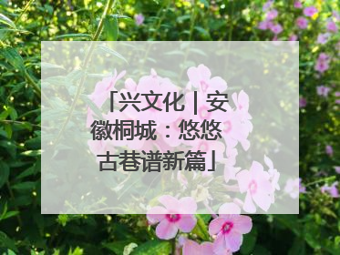 兴文化｜安徽桐城：悠悠古巷谱新篇