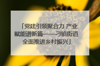党建引领聚合力 产业赋能谱新篇——刁镇街道全面推进乡村振兴