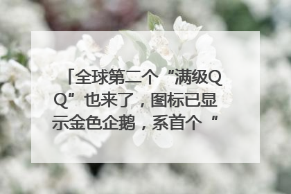 全球第二个“满级QQ”也来了，图标已显示金色企鹅，系首个“满级QQ”的小号