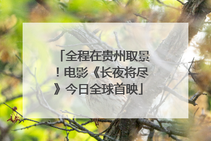 全程在贵州取景！电影《长夜将尽》今日全球首映