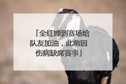 全红婵到赛场给队友加油，此前因伤病缺席赛事