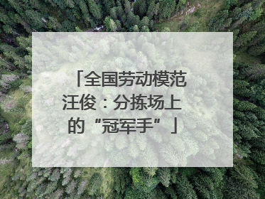 全国劳动模范汪俊：分拣场上的“冠军手”