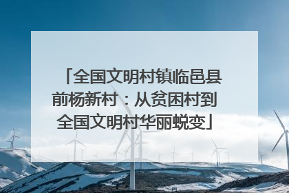 全国文明村镇临邑县前杨新村：从贫困村到全国文明村华丽蜕变