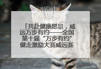 共赴健康愿景，威远万步有约——全国第十届“万步有约”健走激励大赛威远赛区启动仪式