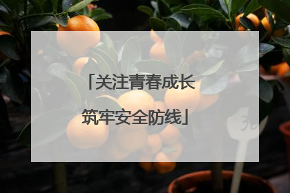 关注青春成长 筑牢安全防线