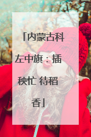 内蒙古科左中旗：插秧忙 待稻香