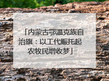 内蒙古鄂温克族自治旗：以工代赈托起农牧民增收梦