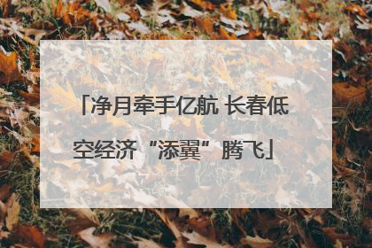 净月牵手亿航 长春低空经济“添翼”腾飞