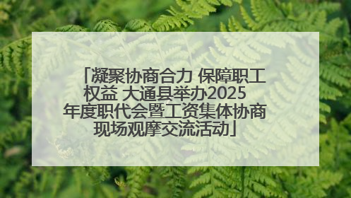 凝聚协商合力 保障职工权益 大通县举办2025年度职代会暨工资集体协商现场观摩交流活动