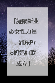凝聚新业态女性力量，浦东Pro妈妈妇联成立