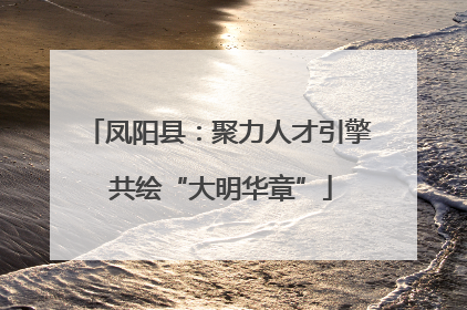 凤阳县：聚力人才引擎 共绘“大明华章”