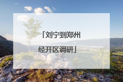 刘宁到郑州经开区调研