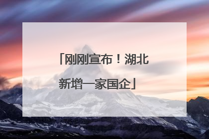 刚刚宣布！湖北新增一家国企