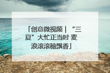 创意微视频｜“三夏”大忙正当时 麦浪滚滚穗飘香