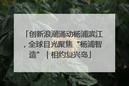 创新浪潮涌动杨浦滨江，全球目光聚焦“杨浦智造”｜相约复兴岛