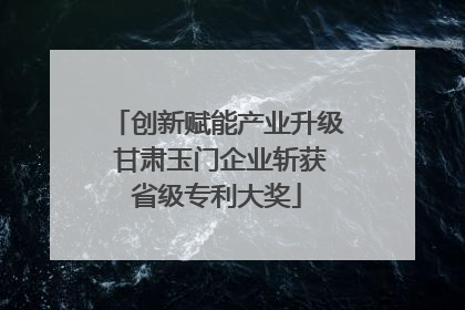 创新赋能产业升级 甘肃玉门企业斩获省级专利大奖